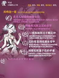 鸣潮椿队伍怎么搭配武器选择推荐(图1)