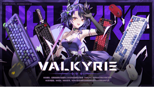 WePlay  ZFX 2025开票啦!(图50)