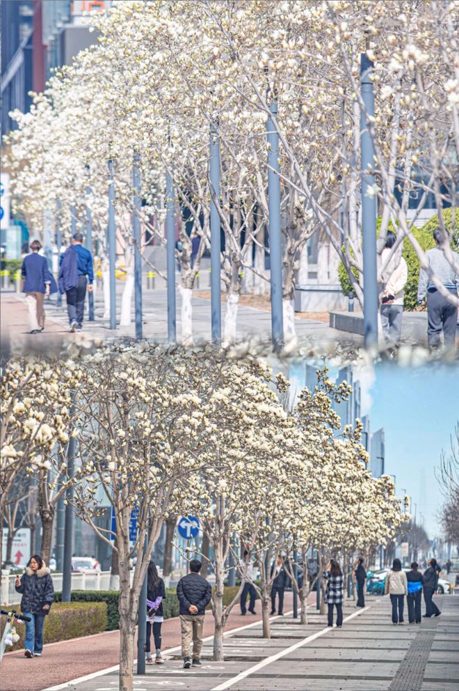 早读 51级地震！天津有雨！又一教培创始人心梗！刘晓庆方发律师声明！多明星心脏有问题！麦当劳被吐槽！(图16)