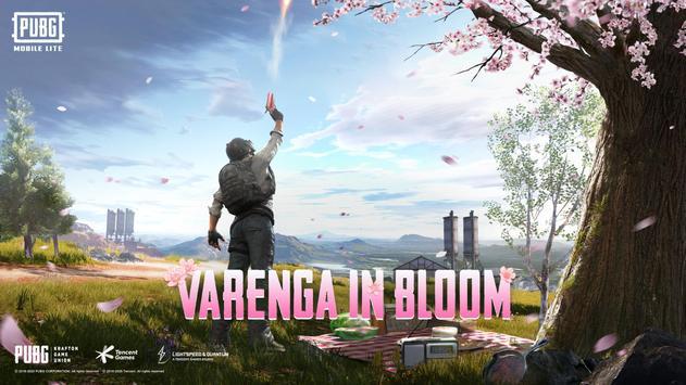 和平精英低配版(BETAPUBGMOBILELITE)(图1)
