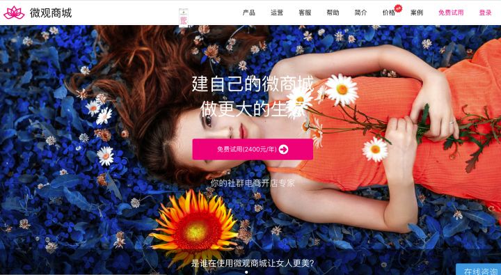 微商城和小程序商城开店专家(图1)